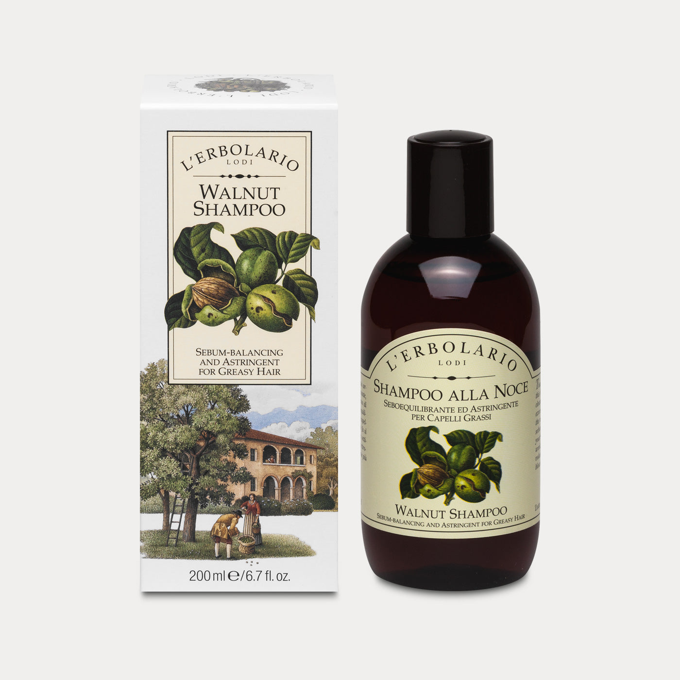 Walnut Shampoo