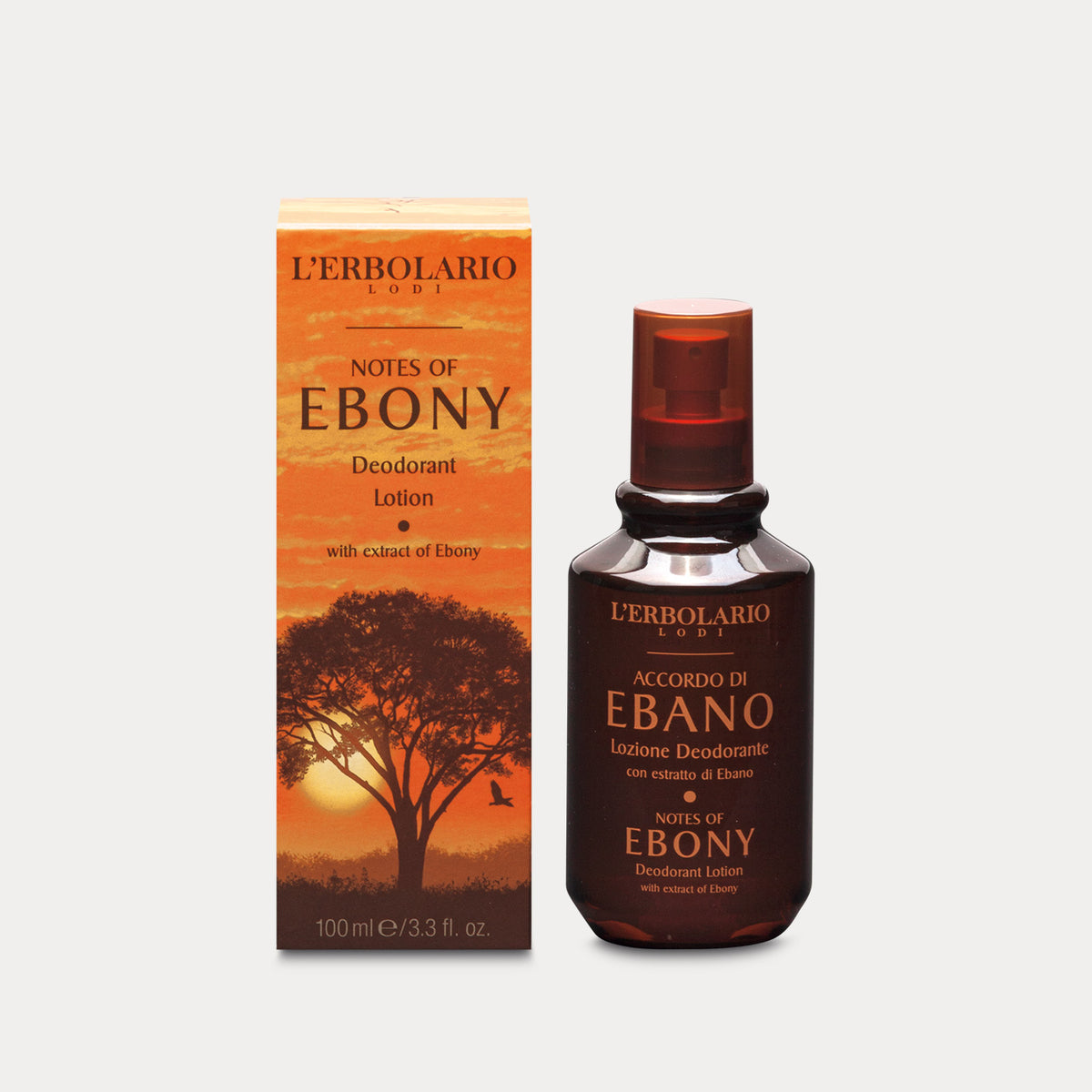 Deodorant Lotion Notes of Ebony