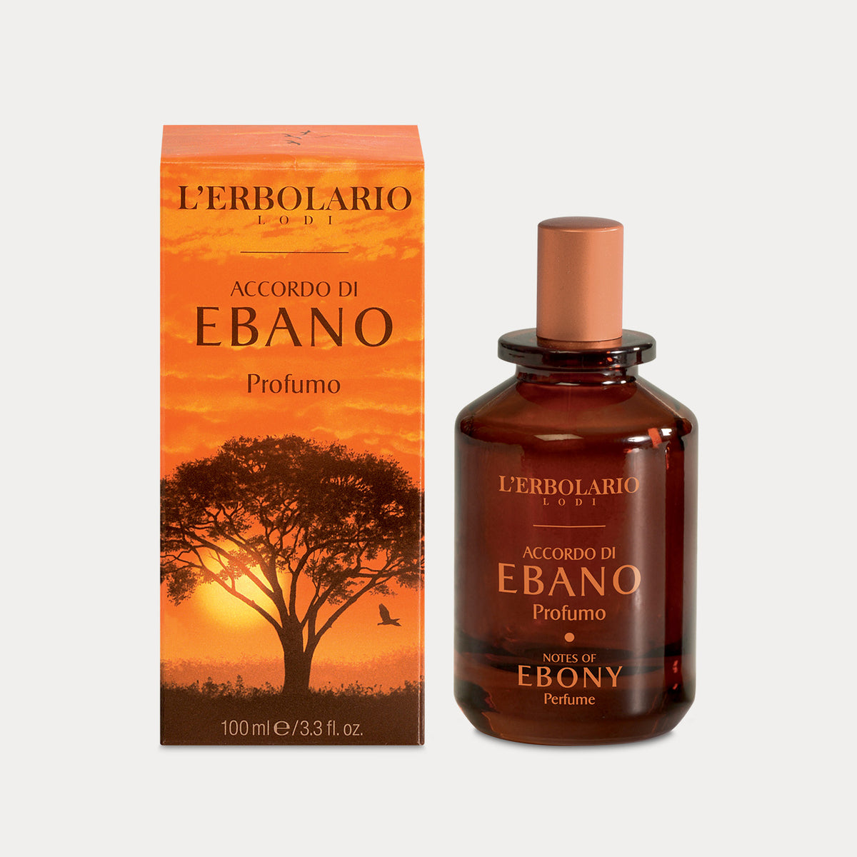 Perfume Notes of Ebony