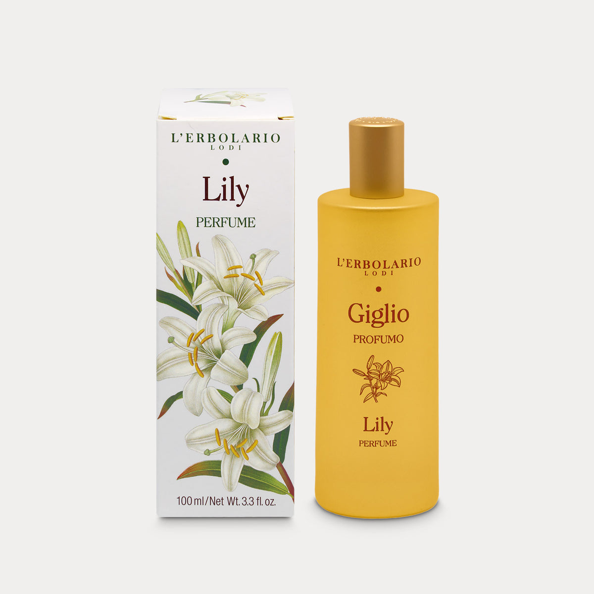 Perfume Lily