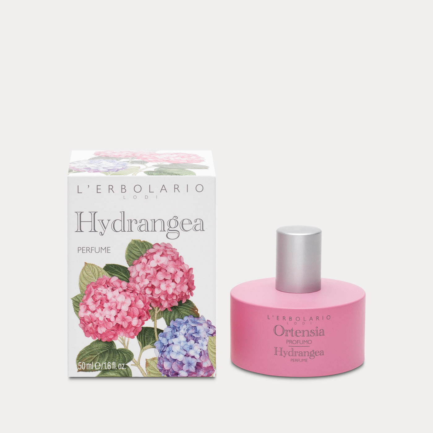 Perfume Hydrangea