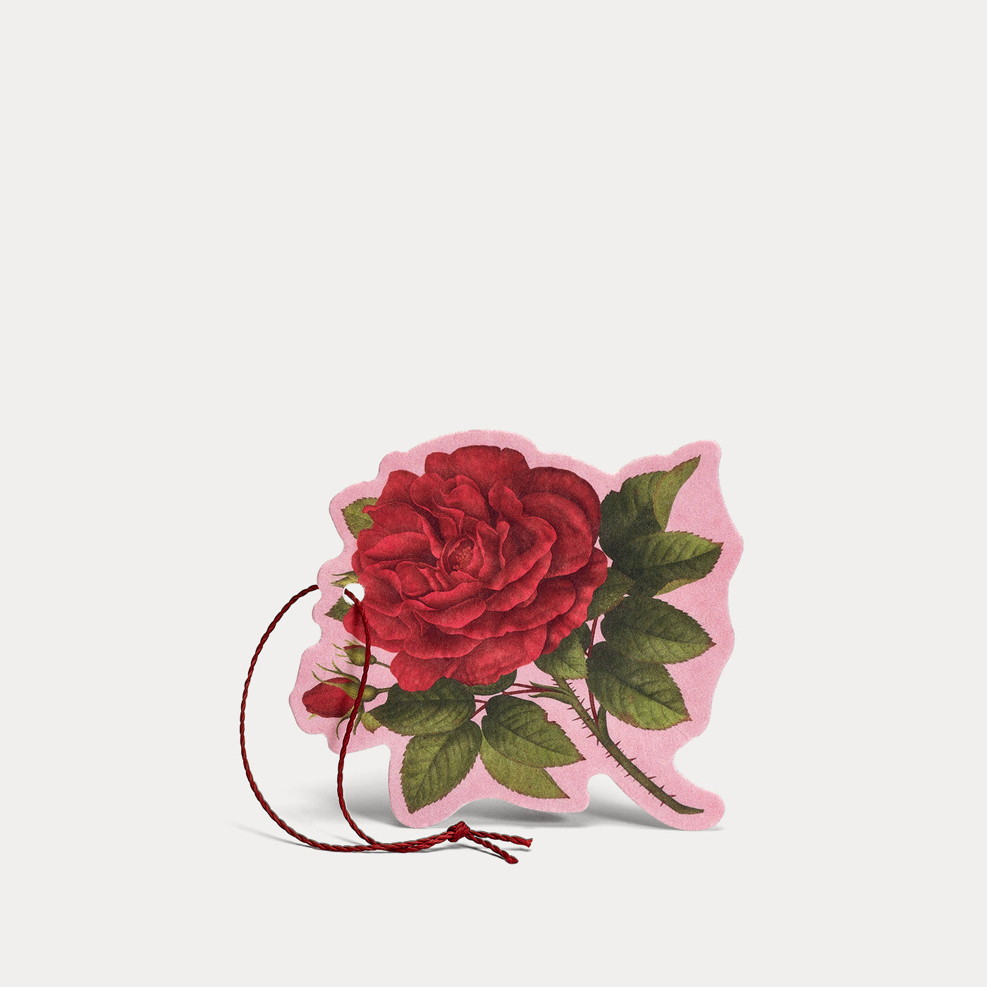 Multipurpose Perfumed Flower Purple Rose