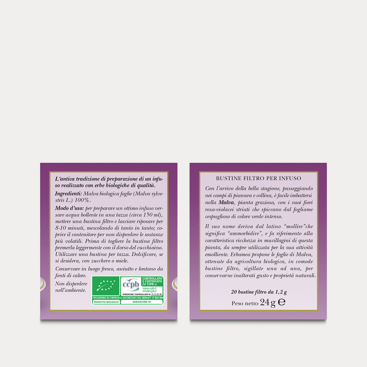 Common Mallow Infusion