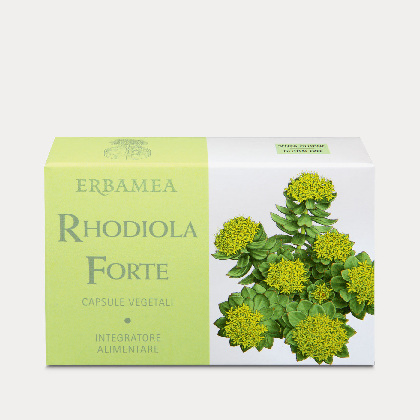 Food Supplement Rhodiola Forte