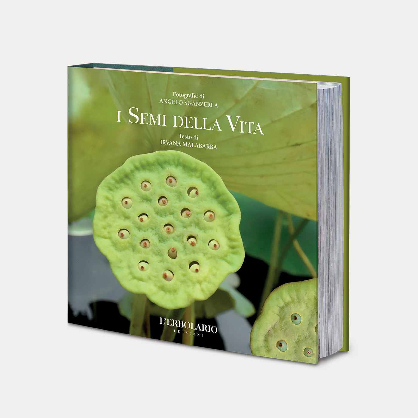 Book I Semi della Vita