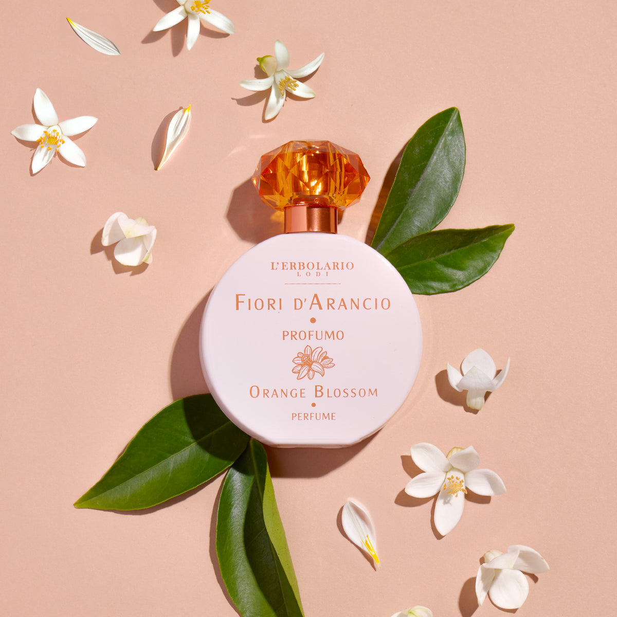 Orange Blossom Perfume