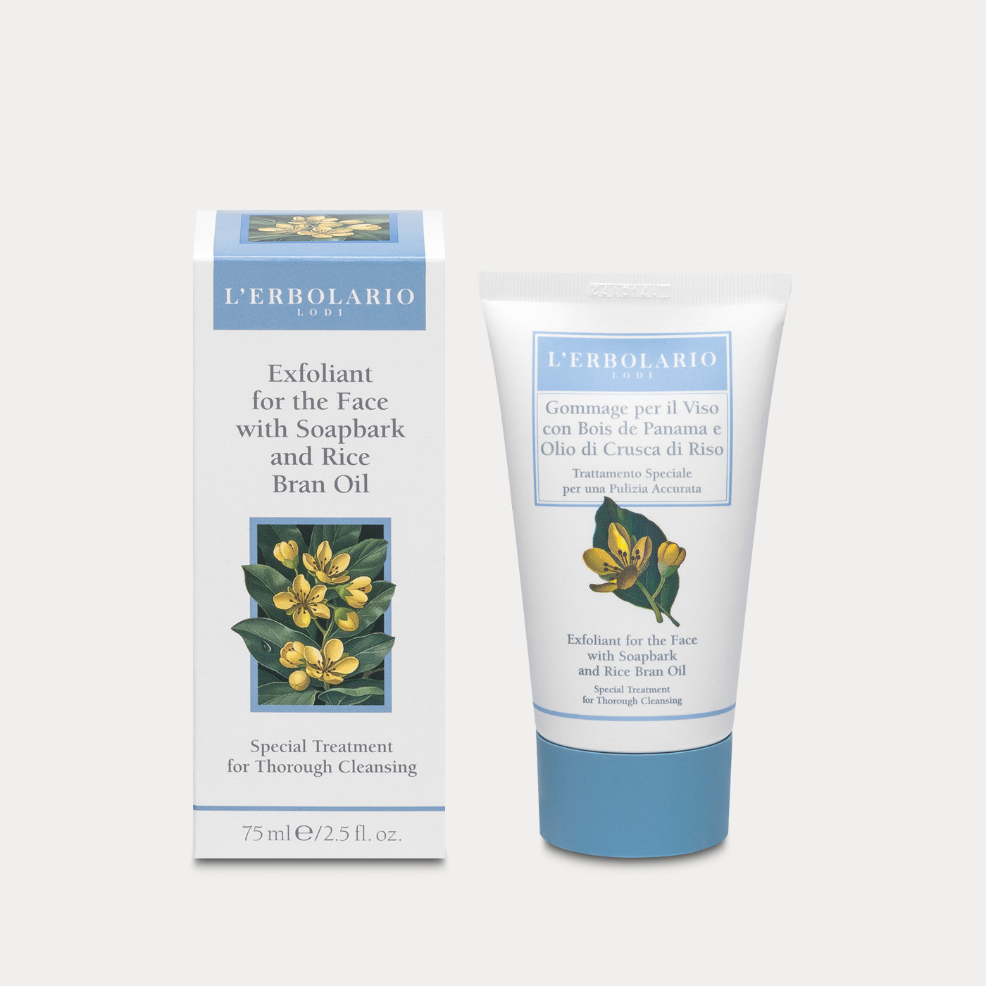 Exfoliant for the Face