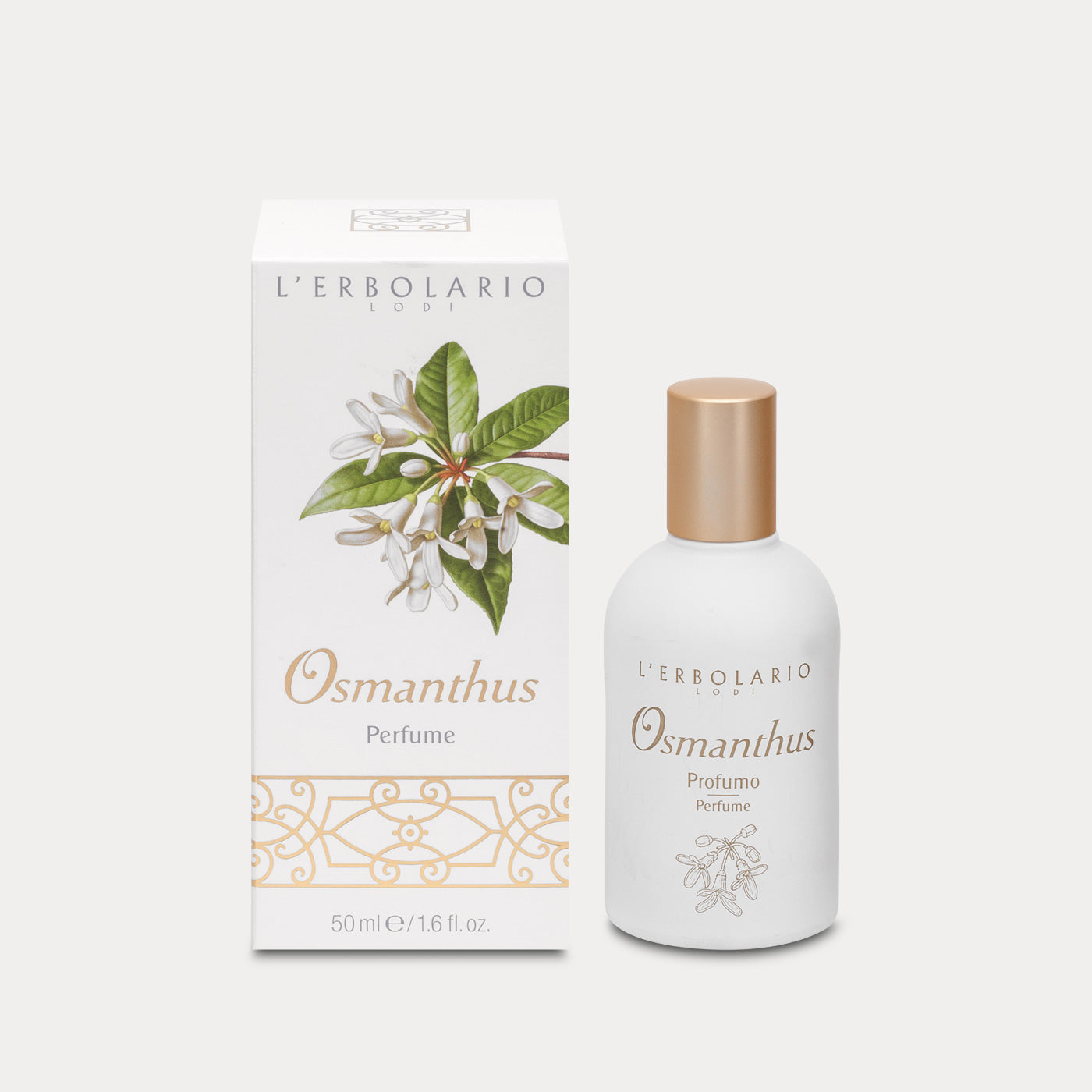 Perfume Osmanthus