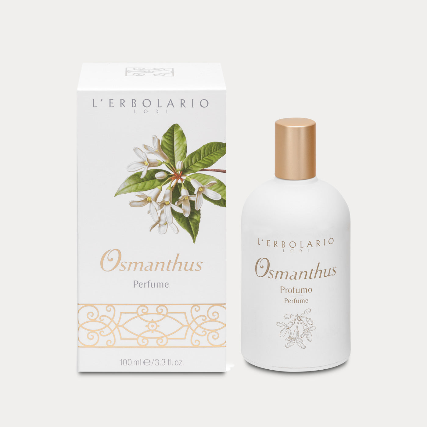 Perfume Osmanthus