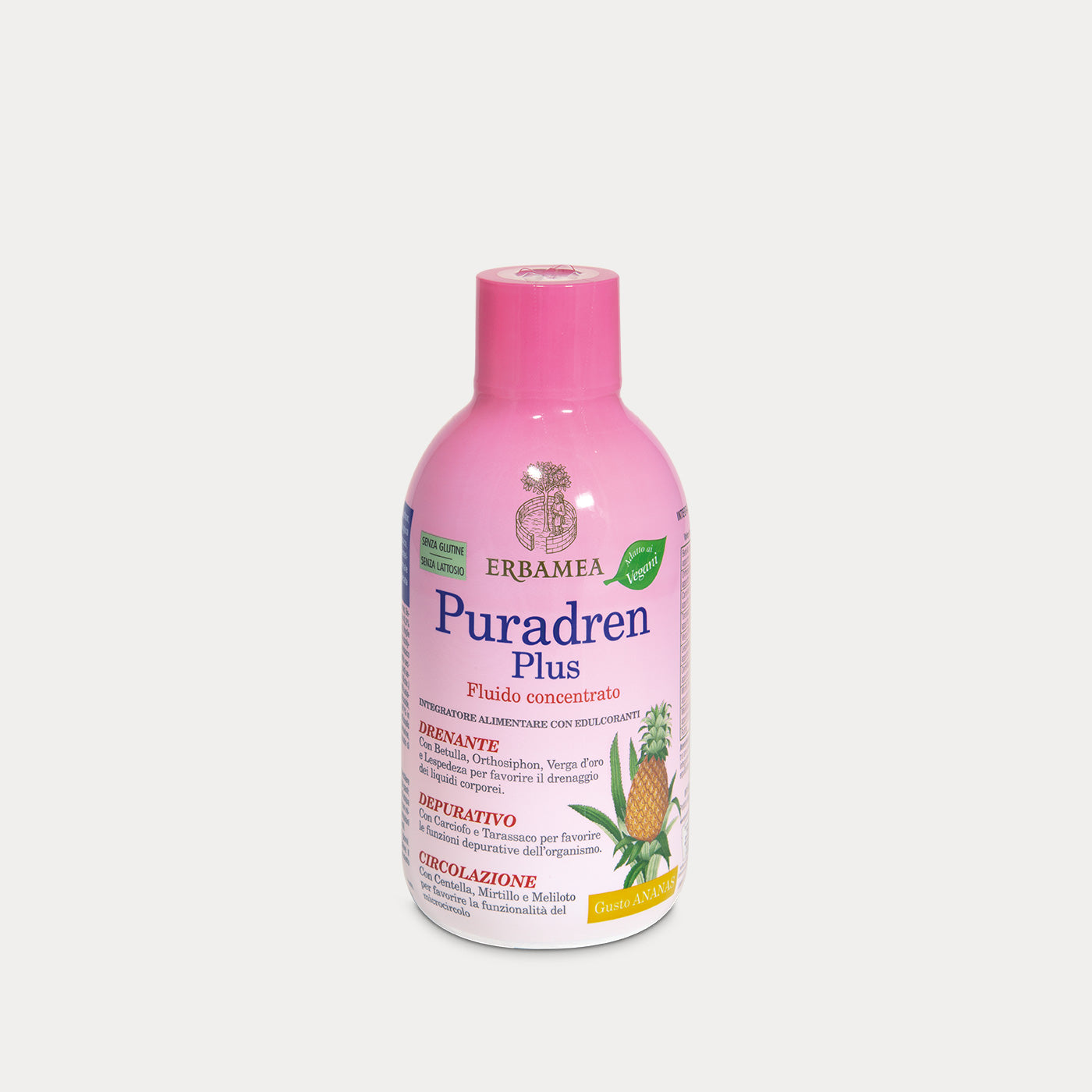 Pineapple-flavoured Concentrated Fluis Puraden Plus