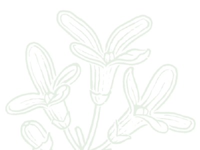 The world of L’Erbolario