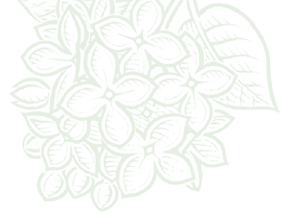 The world of L’Erbolario